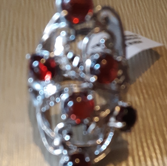 Mozambique Garnet Ring in Platinum - Picture 5 of 6